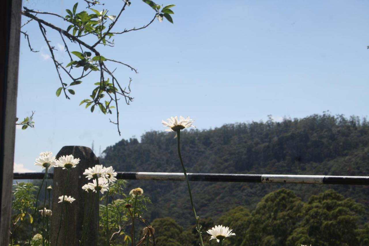 Bezel Bungalow Nuwara Eliya Buitenkant foto